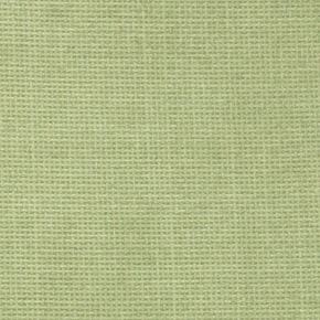 Зеленый xten (ткань)